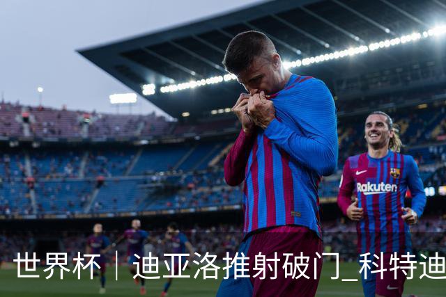 世界杯｜迪亚洛推射破门 科特迪瓦队绝杀厄瓜多尔队